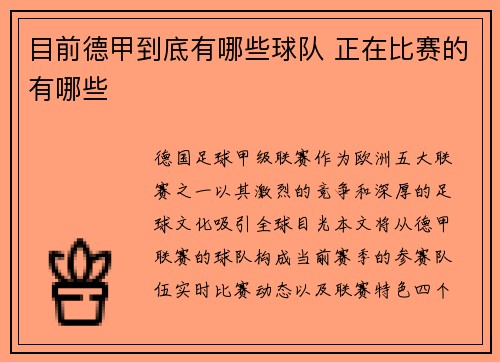 目前德甲到底有哪些球队 正在比赛的有哪些