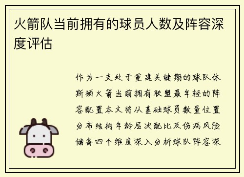 火箭队当前拥有的球员人数及阵容深度评估